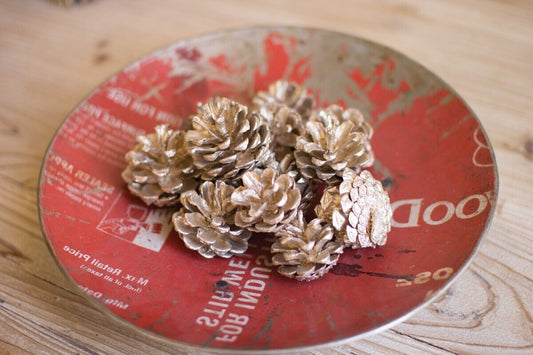 Kalalou Bag of Pine Cones - fall/winter/Thanksgiving/Christmas home accent decor