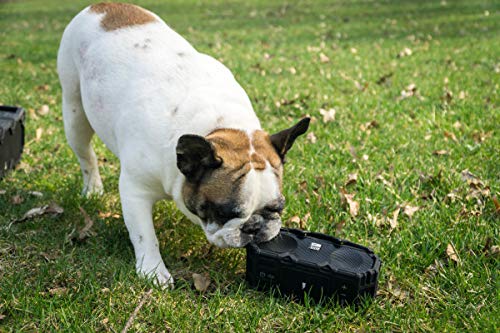 Altec Lansing IMW578L LifeJacket 3, Up to 30 Hrs of Battery Life,IP67 Royal Blue