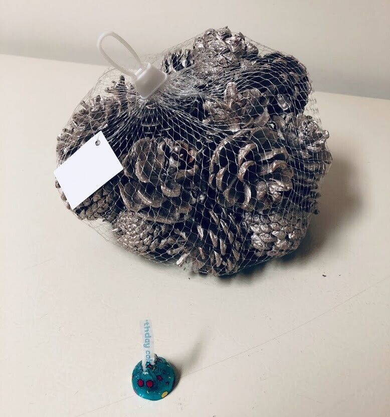 Kalalou Bag of Pine Cones - fall/winter/Thanksgiving/Christmas home accent decor
