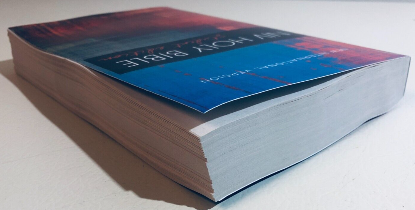 NIV Outreach Bible [Student Edition] by Zondervan (2017, Trade Paperback,...