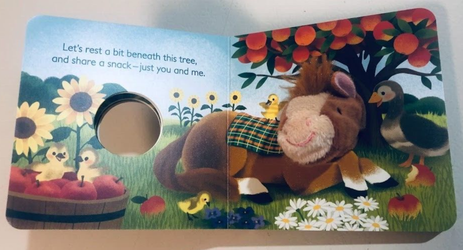 5pc kids' board book BUNDLE - Touch & Feel - Baby Animals, Dr. Seuss, Country