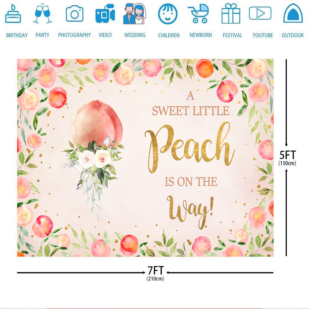 7x5ft A Sweet Little Peach is On The Way Backdrop for Baby Shower Pink Peach