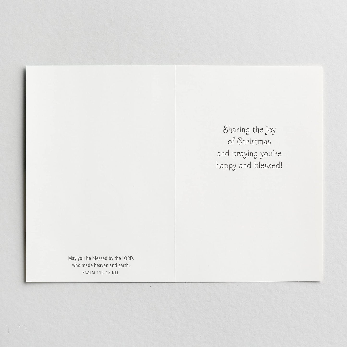 DaySpring 18 Christmas Cards w/ Bible Verse & Envelopes, Blue, "Every Creature"