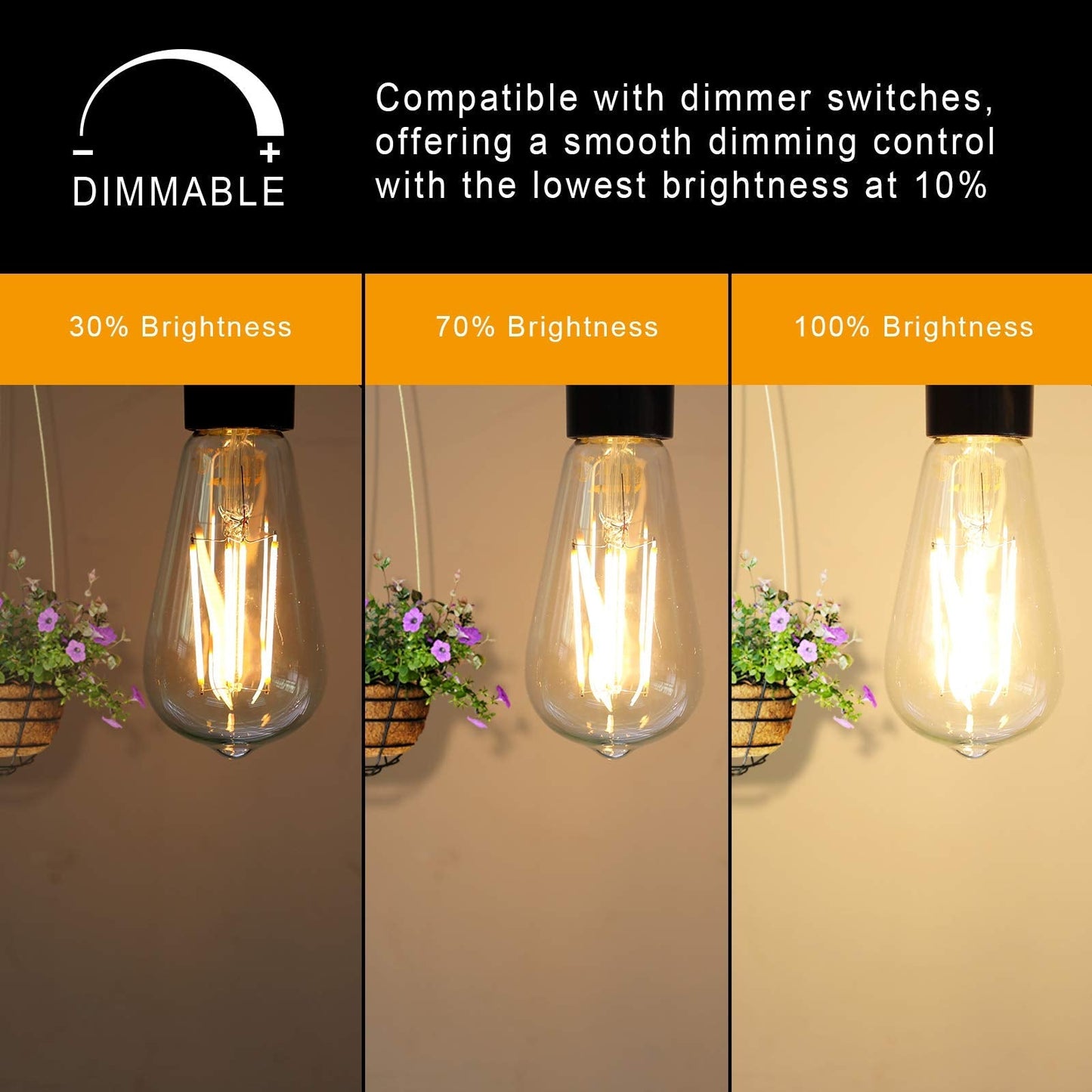 Dimmable Vintage LED Edison Bulbs, 60W, 700lm, Warm White 2700K, E26 Pack of 6