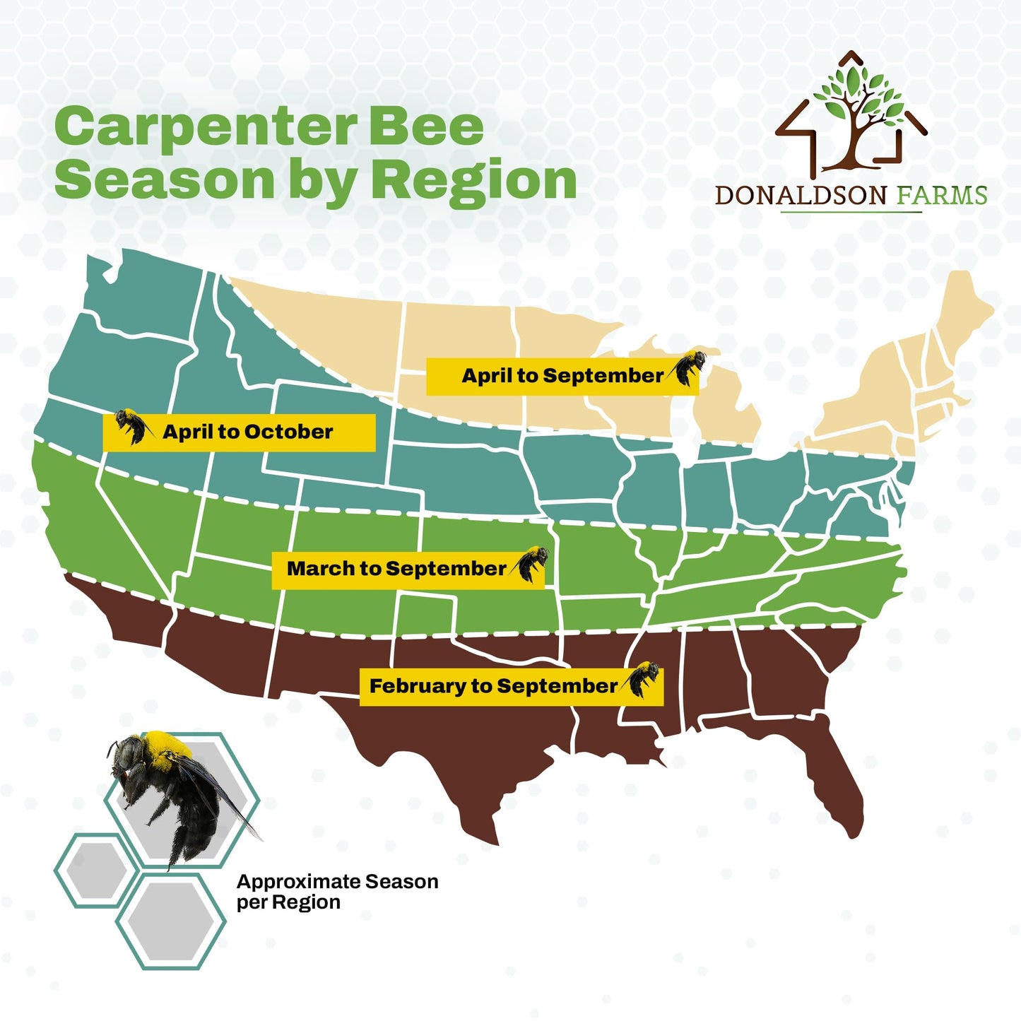 Donaldson Farms Carpenter Bee Natural Attractant Lure, Gentle on Honey Bees 2oz