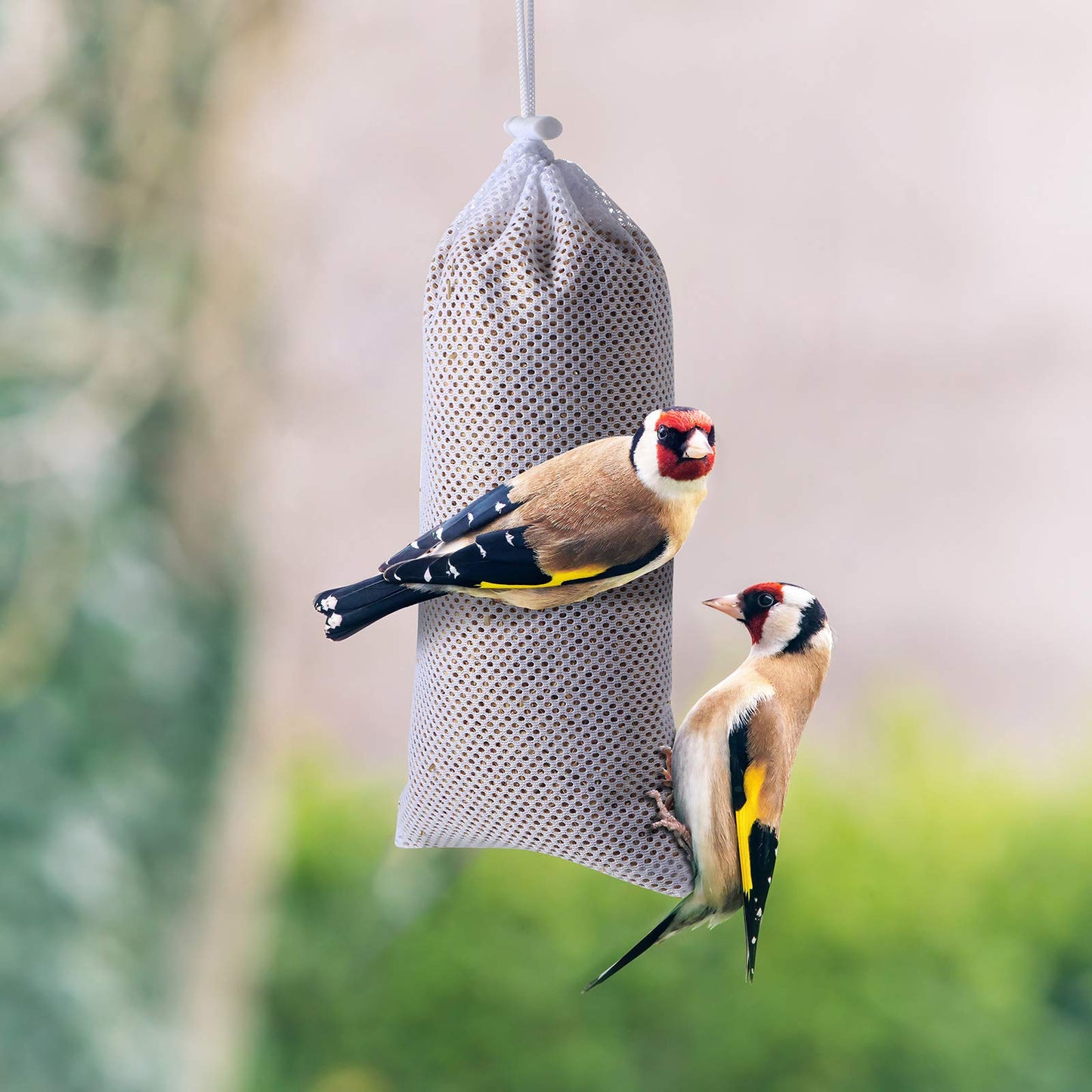 Shihanee 6 Pieces Finch Sock Feeder Bird Feeder Socks for Wild Bird Seed Sock