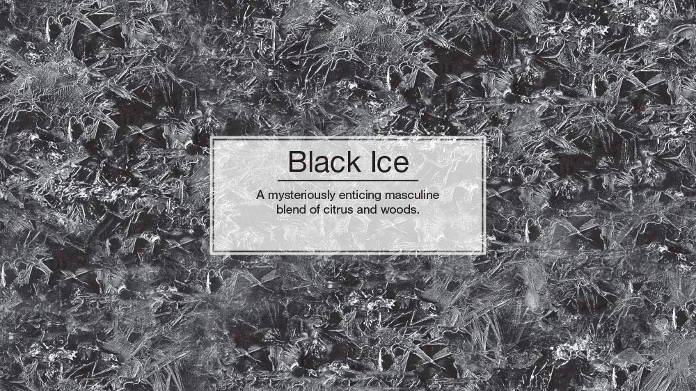 LITTLE TREES Car Air Fresheners, Scent for Auto or Home, Black Ice, 24-count