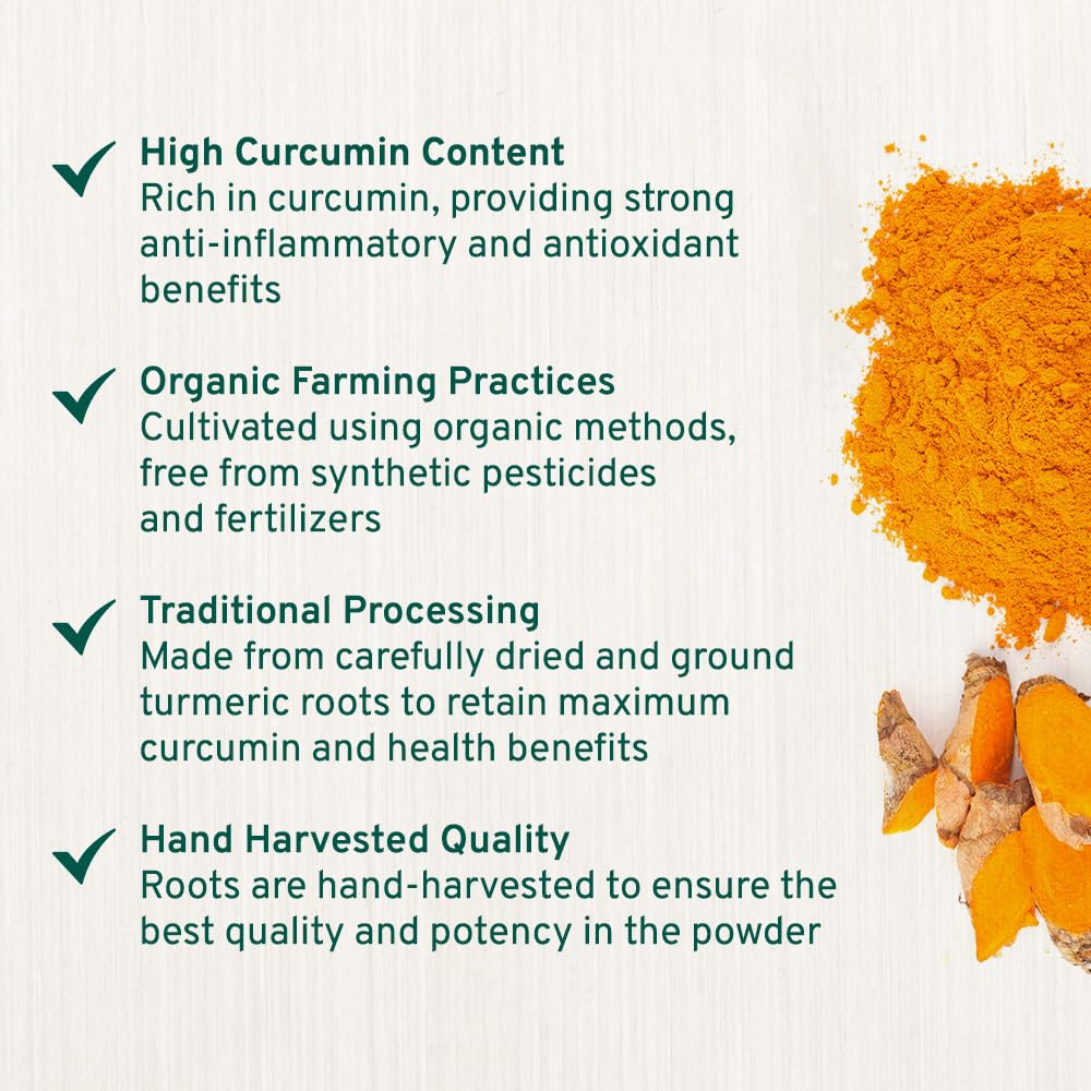 Spice Train Organic Turmeric Powder w/ Curcumin 397g/14oz, Organic / Gluten Free EXP 12/25
