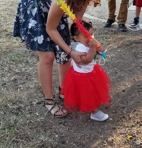 Girl Tutu Skirt, 3 Layers Tulle Tutus for Little Girls, (2T - 8T)