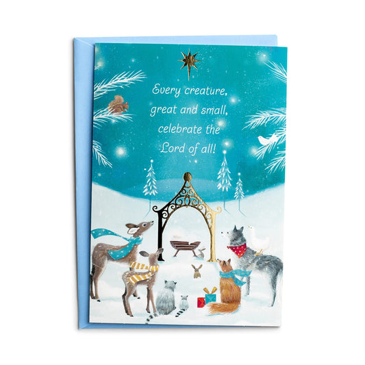 DaySpring 18 Christmas Cards w/ Bible Verse & Envelopes, Blue, "Every Creature"