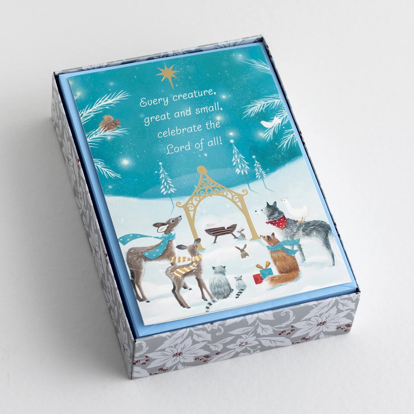 DaySpring 18 Christmas Cards w/ Bible Verse & Envelopes, Blue, "Every Creature"