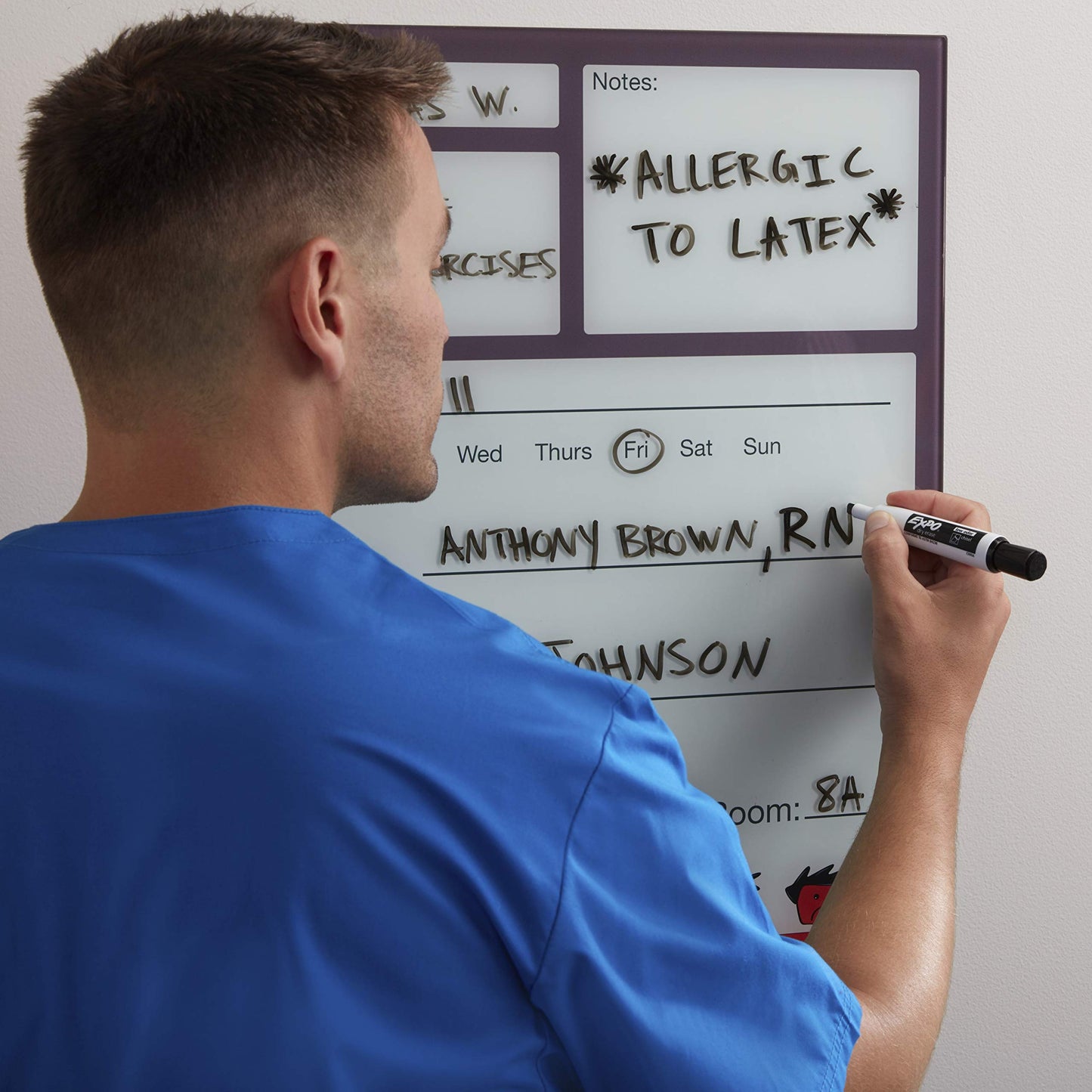 EXPO Magnetic Dry Erase Markers with Eraser, Chisel Tip, Assorted, 8 Count