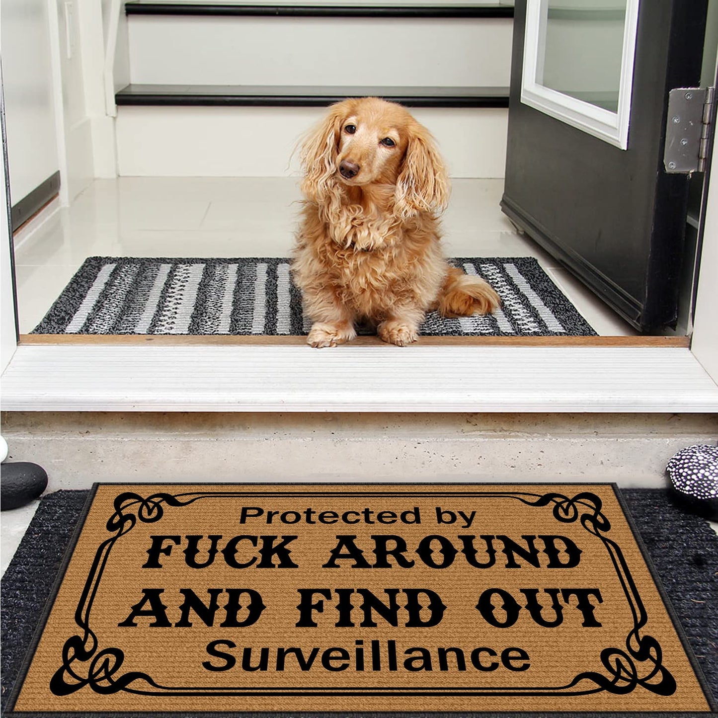 Welcome Mats for Home Entrance, Funny Door Mats for Front Door 30X18 Inch