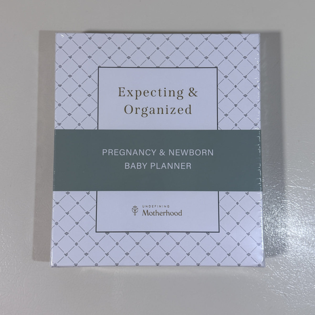 Expecting & Organized Pregnancy & Newborn Baby Planner - view 1 of 5