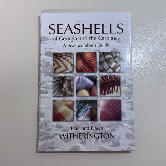 Seashells of Georgia and the Carolinas by Blair and Dawn Witherington - view 1 of 4