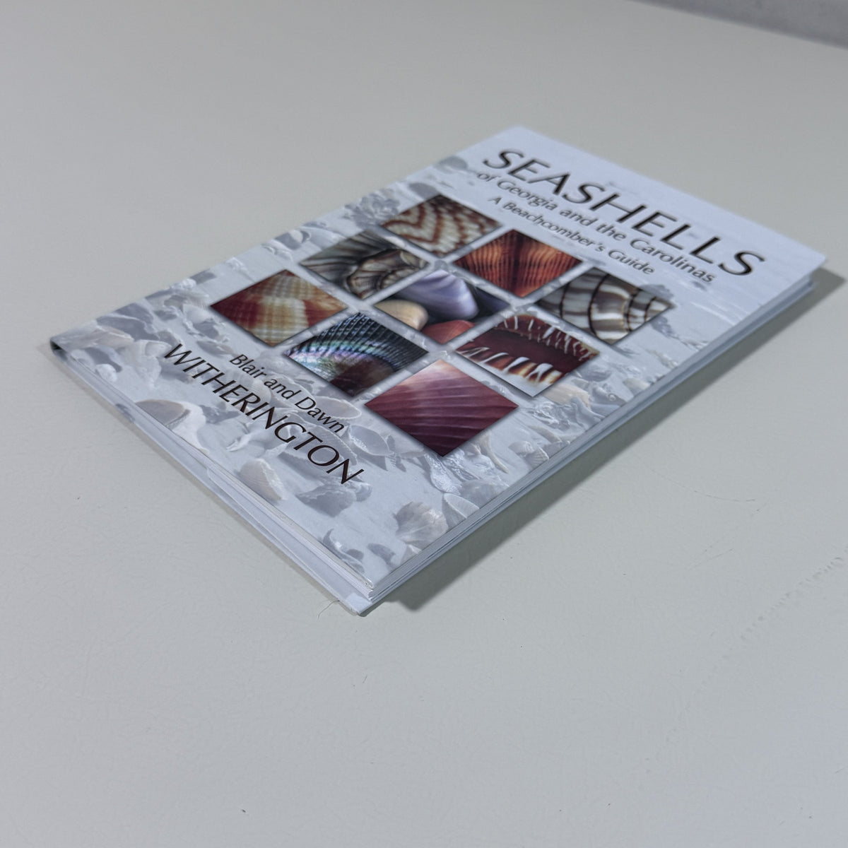 Seashells of Georgia and the Carolinas by Blair and Dawn Witherington - view 2 of 4