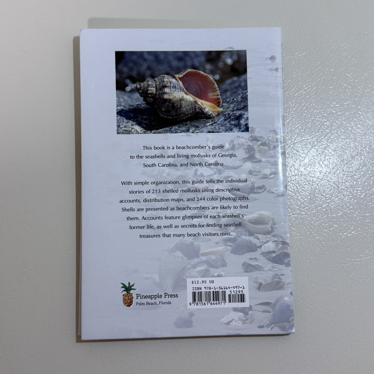 Seashells of Georgia and the Carolinas by Blair and Dawn Witherington - view 3 of 4