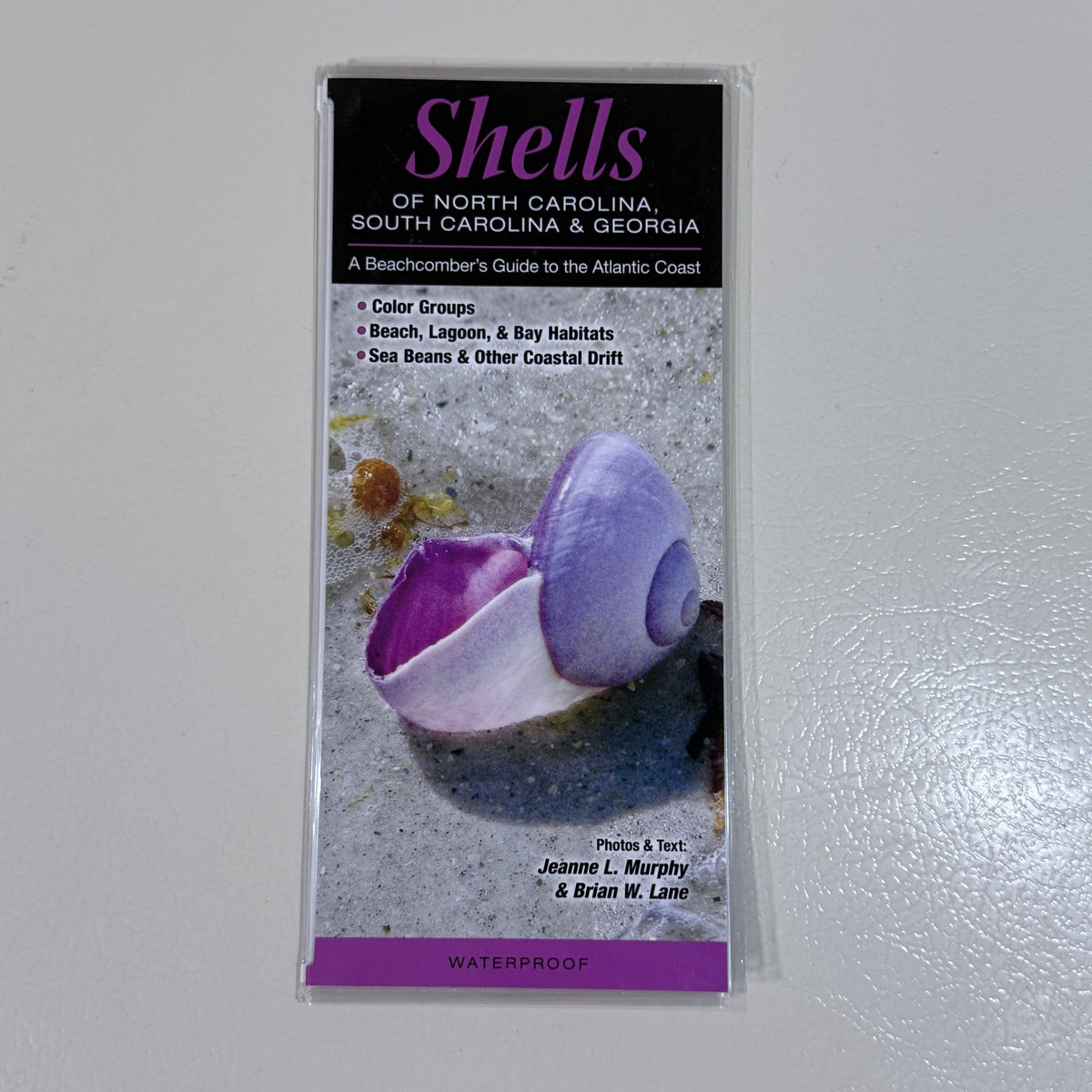 Shells of North Carolina, South Carolina & Georgia Folding Guide - view 1 of 4
