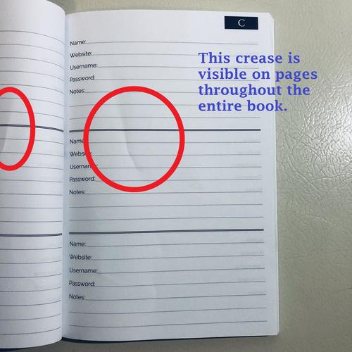 My Brain is Too Full Password Username Website Book Alphabetical Organizer 6x9"