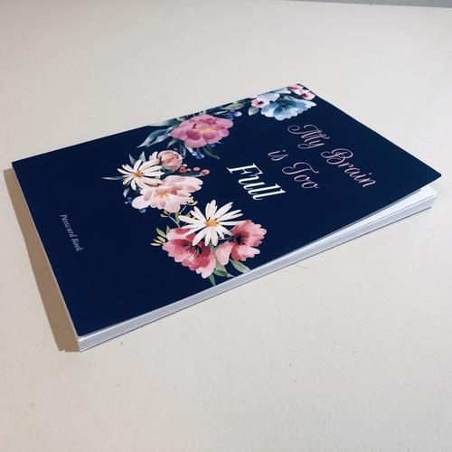 My Brain is Too Full Password Username Website Book Alphabetical Organizer 6x9"