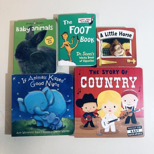 5pc kids' board book BUNDLE - Touch & Feel - Baby Animals, Dr. Seuss, Country