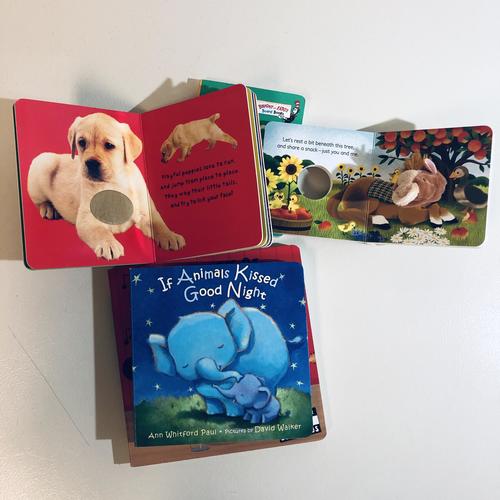 5pc kids' board book BUNDLE - Touch & Feel - Baby Animals, Dr. Seuss, Country