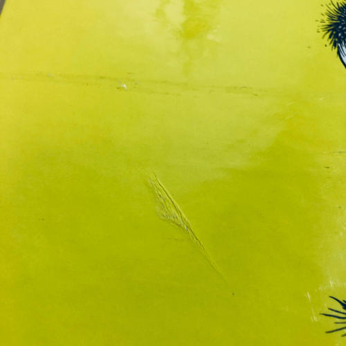 Dr. Seuss 2-book BUNDLE: If I Ran the Circus / I Had Trouble...Solla Sollew