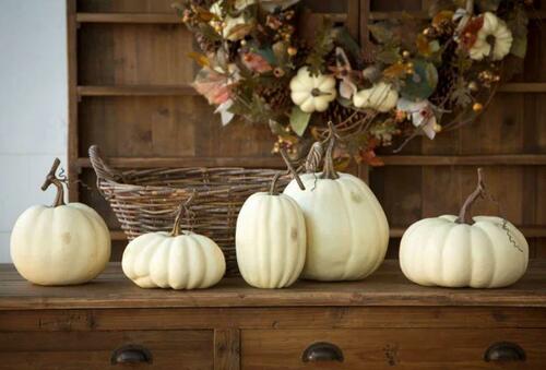 Park Hill Full Moon Faux Pumpkin Collection, Set of 5 - NEW